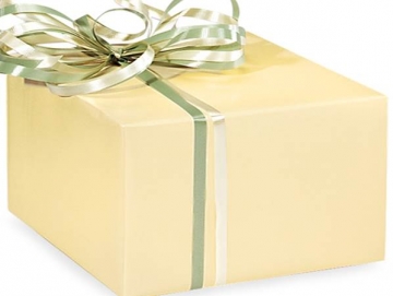Solid Ivory Glossy Wrapping Paper ~ Basic Package
